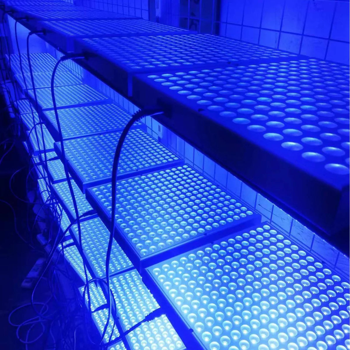 20W Floor Standing Blue Light Tanning Lamp – Blue Light 460–465nm | Dimmable & Timer | AC100–240V | Aluminum Alloy + PC Cover | Includes Floor Stand | for Skin Tanning, Bronze Finish | US / EU Plug