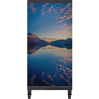 LEP-T Series Transparent LED Digital Signage Poster | 1×2m Indoor Kit | P3.91mm | Holographic LED Film for Storefront & Showcase Windows