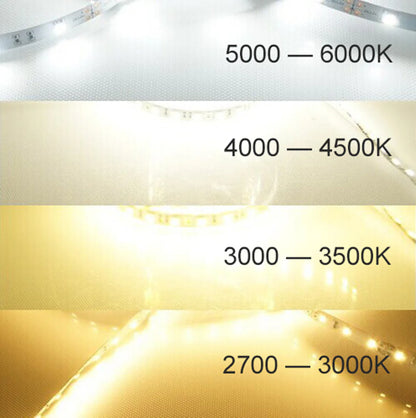 SMD5050 LED Strip Light | Standard (10–12lm/LED) & High Brightness (20–22lm/LED) Options | 12V DC | 12W/m | 60 LEDs/m | 5m Roll | White Colors (3000K/4000K/6000K) | IP00/IP67