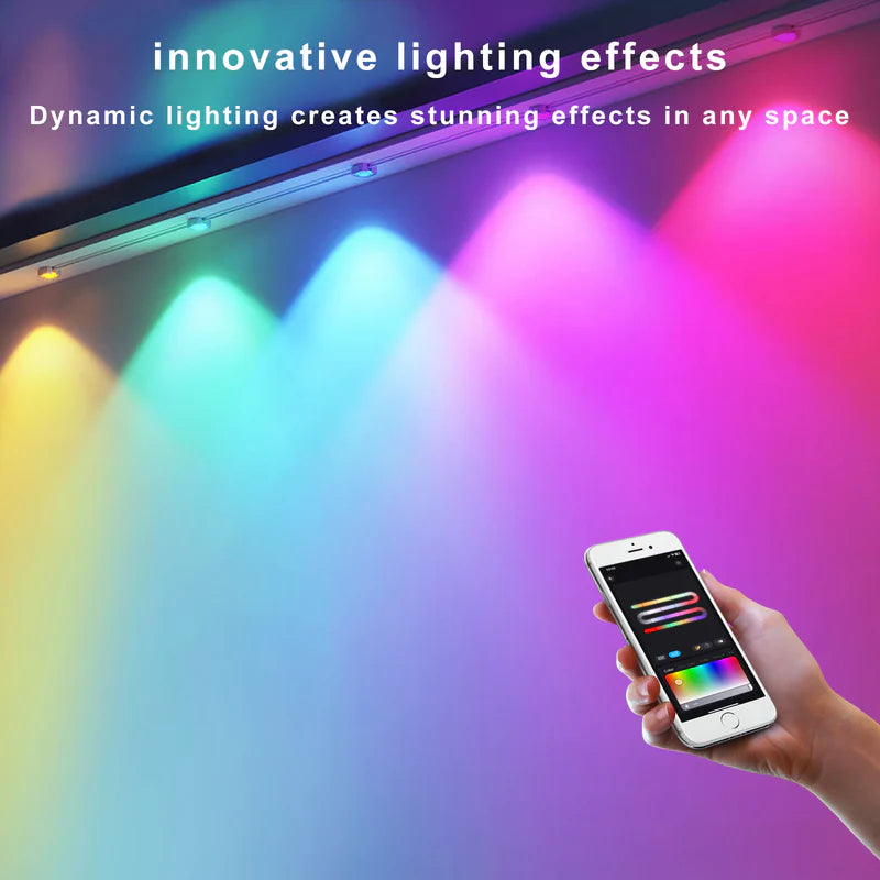 LightingWill OL1 Permanent Outdoor Lights