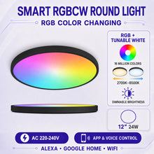 AC 220–240V | Black Smart RGBCW Round Flush Mount LED Ceiling Lights – RGB Color Changing, 12 Inch 2700K–6500K Adjustable with Dimmable Brightness, Compatible with Alexa/Google Home/APP Control WiFi Light for Bedroom/Kids Room/Party