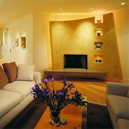 SMD5050 LED Strip Light | Standard (10–12lm/LED) & High Brightness (20–22lm/LED) Options | 12V DC | 12W/m | 60 LEDs/m | 5m Roll | White Colors (3000K/4000K/6000K) | IP00/IP67