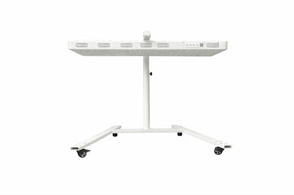 ALL-PRO Series Large Panel Infrared Therapy Lamp – 140W / 260W / 420W | Dual Chip Red Light & Infrared | Touch Control with Timer & Pulse Dimming | 30° Lens | AC85–265V | Included Hanging Rope, Protective Goggles | for Skin | US / EU / UK / AU Plug