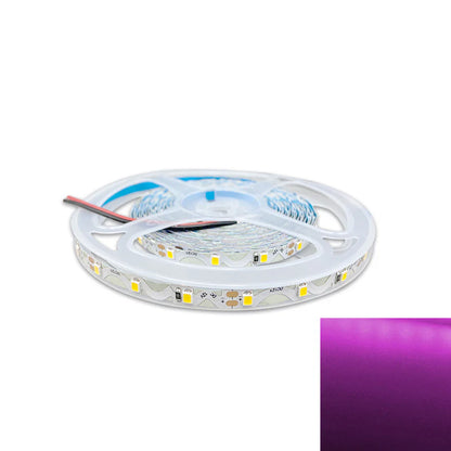 DC12V SMD2835 S-Shape LED Strip Light – 60 LEDs/m | High Brightness Low Voltage LED Tape | 6mm PCB | Non-Waterproof | Warm White / Natural White / Cool White / Red / Blue / Golden Yellow / Green / Pink | for Mirror, Kitchen Cabinet, Bedroom | 50/500M