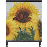 LEP-T Series Transparent LED Digital Signage Poster | 2×2m Indoor Kit | P3.91mm | Large Holographic LED Film for Retail Window Display