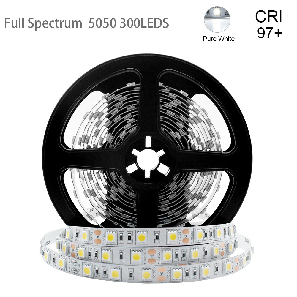 Full Spectrum LED Strip Light | CRI 97+ | SMD5050, 300 LEDs, 60 LEDs/M | 24V DC | 12W/M | 5M (16.4FT) Flexible Tape Light