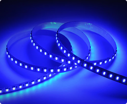 12MM Wide RGBCCT LED Strip Light - IP00 / IP65 / IP67 | 5-In-1 SMD5050-60 LEDs/M | DC12V / 24V | for Mirror, Kitchen Cabinet, Bedroom |50/500M