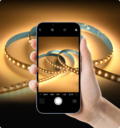 12MM Wide RGBCCT LED Strip Light - IP00 / IP65 / IP67 | 5-In-1 SMD5050-60 LEDs/M | DC12V / 24V | for Mirror, Kitchen Cabinet, Bedroom |50/500M