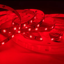 660–670nm SMD2835 DC12V Red LED Strip Light – Deep Red Light for Therapy & Growth, 60/120/240 LEDs/m, 5M /10M, IP00/IP65