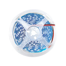 SMD5050 Single Color LED Strip Light – DC 12V | 60 LEDs/m | High Brightness Low Voltage LED Tape | 10mm PCB | IP00 / IP67 | Warm White / Natural White / Cool White | 50/500M
