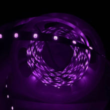 810nm SMD2835 DC12V Infrared LED Strip Light – Near IR for Therapy & Circulation, 60/120/240 LEDs/m, 5M /10M, IP00/IP65