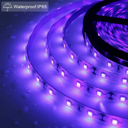 24W / 60W UV Black Light LED Strip – 16.4FT / 5M / 10M | SMD2835 | 60 LEDs/m (300 LEDs Total) | 395–405nm | Non-Waterproof / IP65 Waterproof | With Power Supply | Perfect for Night Fishing and Blacklight Party Events