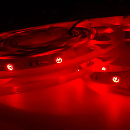 660–670nm  SMD5050 DC12V Red LED Strip Light – High Power Red for Therapy & Plants, 30/60/120 LEDs/m, 5M /10M, IP00/IP65