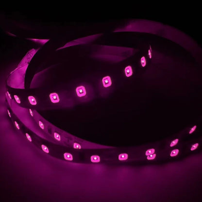 810nm SMD2835 DC12V Infrared LED Strip Light – Near IR for Therapy & Circulation, 60/120/240 LEDs/m, 5M /10M, IP00/IP65