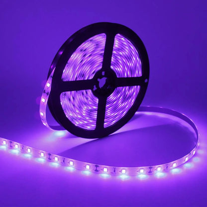 24W / 60W UV Black Light LED Strip – 16.4FT / 5M / 10M | SMD2835 | 60 LEDs/m (300 LEDs Total) | 395–405nm | Non-Waterproof / IP65 Waterproof | With Power Supply | Perfect for Night Fishing and Blacklight Party Events