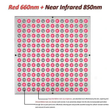 20W Floor Standing Infrared Therapy Lamp – Red Light 655–665nm & IR 850–860nm | Dimmable & Timer | AC100–240V | Aluminum Alloy + PC Cover | Includes Floor Stand | for Skin Rejuvenation, Muscle & Joint Pain Relief | US / EU Plug