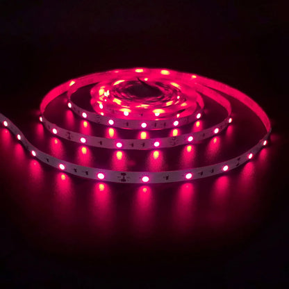 730–735nm SMD2835 DC12V Infrared LED Strip Light – Far Red for Flowering & Photoperiod Control, 60/120/240 LEDs/m, 5M /10M, IP00/IP65