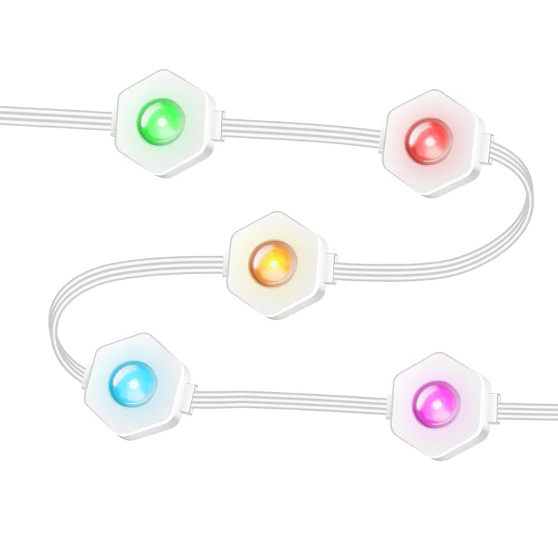 LightingWill OL1 Permanent Outdoor Lights