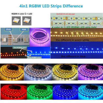 DC12V RGBW/RGBWW LED Strip Light - 4-In-1 SMD5050 60 LEDs/M | 12mm PCB | Non-Waterproof | for Mirror, Kitchen Cabinet, Bedroom | 50/500M