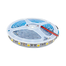 SMD5050 Single Color LED Strip Light – DC 12V | 60 LEDs/m | High Brightness Low Voltage LED Tape | 10mm PCB | IP00 / IP67 | Warm White / Natural White / Cool White | 50/500M