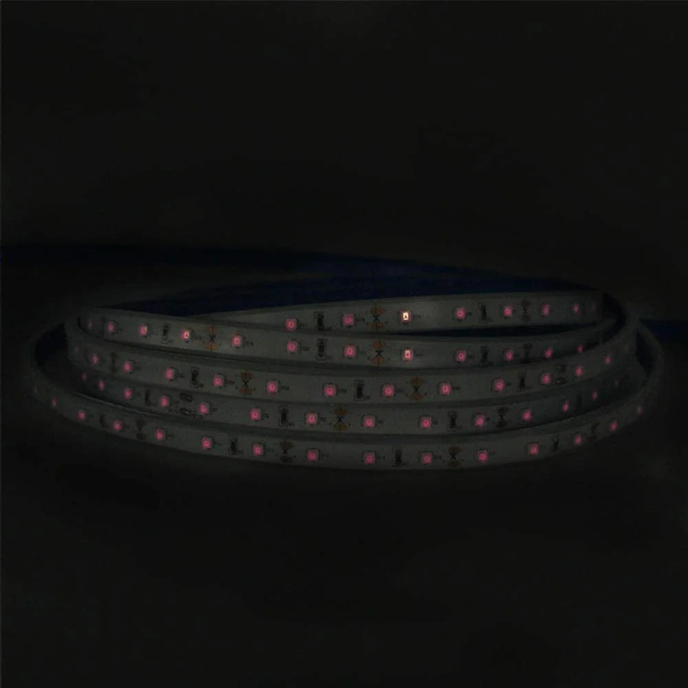 810nm SMD2835 DC12V Infrared LED Strip Light – Near IR for Therapy & Circulation, 60/120/240 LEDs/m, 5M /10M, IP00/IP65