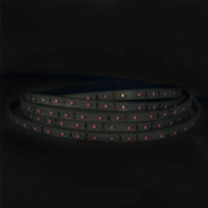 810nm SMD2835 DC12V Infrared LED Strip Light – Near IR for Therapy & Circulation, 60/120/240 LEDs/m, 5M /10M, IP00/IP65