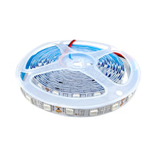SMD5050 Single Color LED Strip Light – DC 12V | 60 LEDs/m | High Brightness Low Voltage LED Tape | 10mm PCB | IP00 / IP67 | Red / Green / Blue / Yellow / Pink | 50/500M