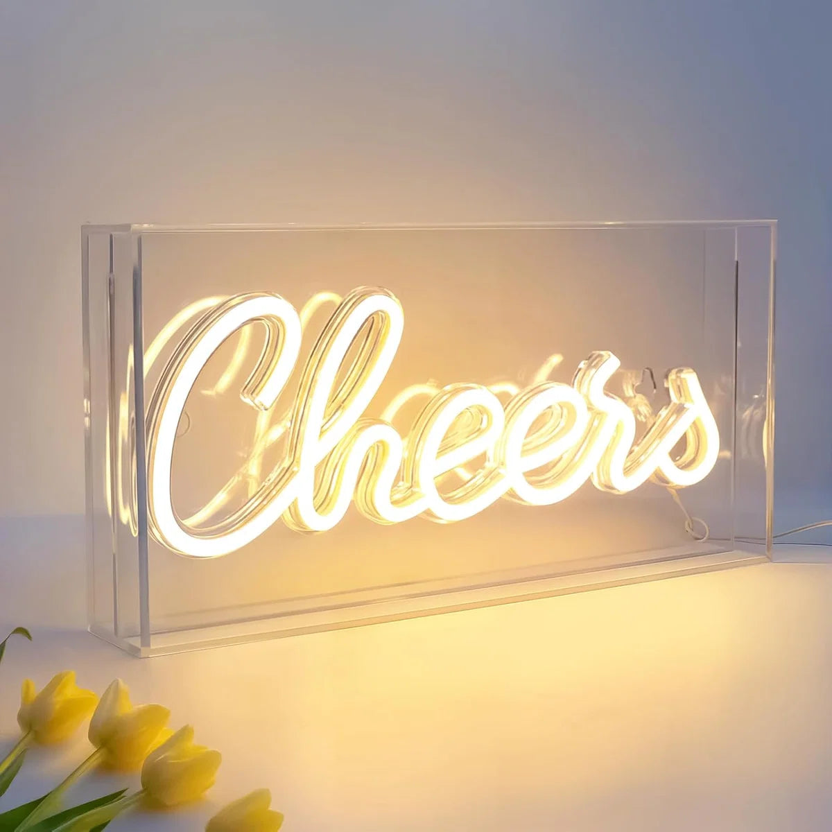 LED Light Box Signs – Rectangular 11.8x5.9 inch | Warm White/Pink | USB Powered | Tabletop Display | For Bedroom Decor, Coffee Corners, Lounge Areas & Entertainment Spaces