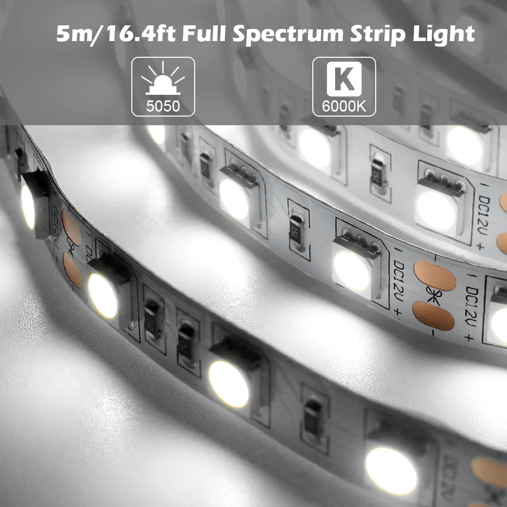 Full Spectrum LED Strip Light | CRI 97+ | SMD5050, 300 LEDs, 60 LEDs/M | 24V DC | 12W/M | 5M (16.4FT) Flexible Tape Light