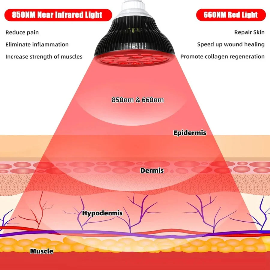 54W PAR38 Infrared Therapy LED Bulb – Dual Chip Red Light 660nm & Near Infrared 850nm | E26 / E27 Base | With / Without Desktop Clamp | US / EU Plug | Plug-In Red Light Therapy Lamp for Skin Rejuvenation & Muscle and Joint Therapy
