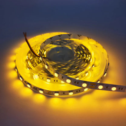 SMD5050 Red/Green/Blue/Yellow/Pink/Icy Blue LED Strip Light | Standard Brightness | 12V DC | 12W/m | 60 LEDs/m | 5m Roll | IP00 / IP65/IP67 Options