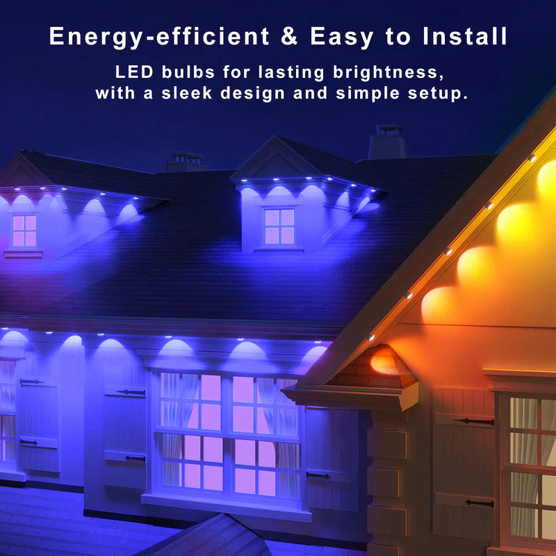 LightingWill OL1 Permanent Outdoor Lights