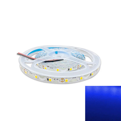 DC12V SMD2835 S-Shape LED Strip Light – 60 LEDs/m | High Brightness Low Voltage LED Tape | 6mm PCB | Non-Waterproof | Warm White / Natural White / Cool White / Red / Blue / Golden Yellow / Green / Pink | for Mirror, Kitchen Cabinet, Bedroom | 50/500M