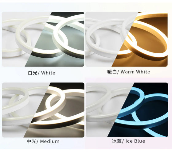 Single Color LED Neon Rope Light 8x16mm | 110V/220V AC Flexible Neon LED Strip | SMD2835 120LEDs/m | Waterproof Cuttable Neon Flex for Indoor & Outdoor Decoration | 20m / 50m / 100m Kit with Power Adapter Plug