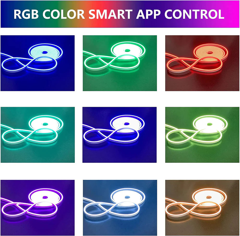 RGB LED Neon Rope Light 10x20mm – SMD5050, 60 LEDs/M, 12W/M, AC110-220V, Flexible, Cuttable, Waterproof (IP65) Neon Strip Lighting for Indoor & Outdoor Decor with Remote Control