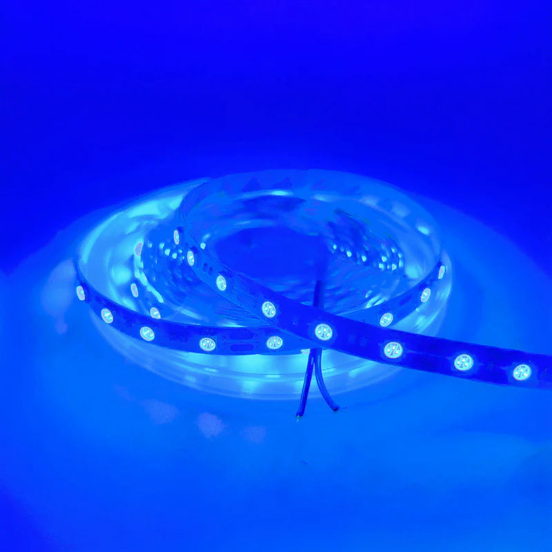 SMD5050 Red/Green/Blue/Yellow/Pink/Icy Blue LED Strip Light | Standard Brightness | 12V DC | 12W/m | 60 LEDs/m | 5m Roll | IP00 / IP65/IP67 Options