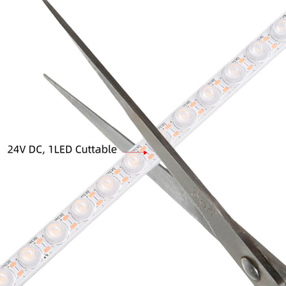 Waterproof Wall Washer LED Strip Light – DC 24V | 25° Beam Lens | 18W/m | 42 LEDs/m | IP67 Waterproof | 3000K / 4000K / 6000K / Red / Green / Blue / Yellow | Architectural Lighting | 50/500M