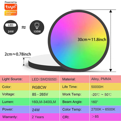 AC 220–240V | White Smart RGBCW Round Flush Mount LED Ceiling Lights – RGB Color Changing, 12 Inch 2700K–6500K Adjustable with Dimmable Brightness, Compatible with Alexa/Google Home/APP Control WiFi Light for Bedroom/Kids Room/Party