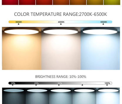 AC 220–240V | White Smart RGBCW Round Flush Mount LED Ceiling Lights – RGB Color Changing, 12 Inch 2700K–6500K Adjustable with Dimmable Brightness, Compatible with Alexa/Google Home/APP Control WiFi Light for Bedroom/Kids Room/Party