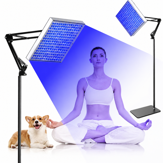 45W Floor Standing Blue Light Tanning Lamp – Blue Light 460–465nm | Dimmable & Timer | AC100–240V | Aluminum Alloy + PC Cover | Includes Floor Stand | for Skin Tanning, Bronze Finish | US / EU Plug