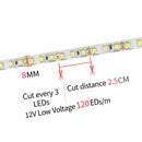 DC12V SMD2835 Single Color LED Strip Light – 120 LEDs/m | High Brightness Low Voltage LED Tape | 8mm PCB | Warm White / Natural White / Cool White / Blue / Red / Ice Blue / Golden Yellow | IP00 / IP67 | for Mirror, Kitchen Cabinet, Bedroom | 50/500M